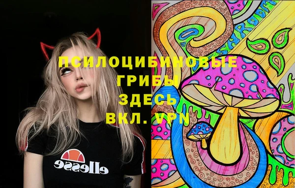 МДПВ Алексин