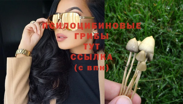 МДПВ Алексин